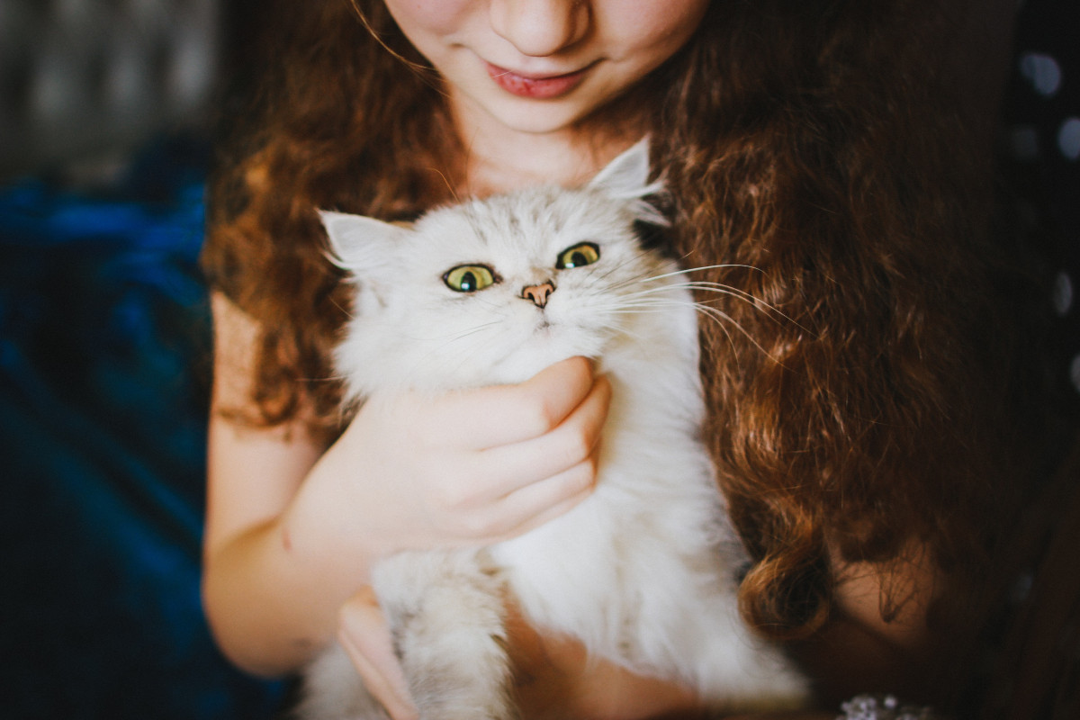 Kids and Pets Have a Healthy Relationship