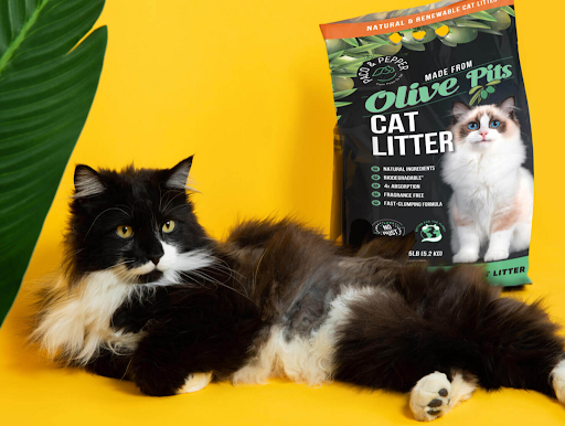 Is it safe to put baking soda in cat litter — what you really need to know